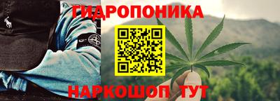 2c-b Гусев