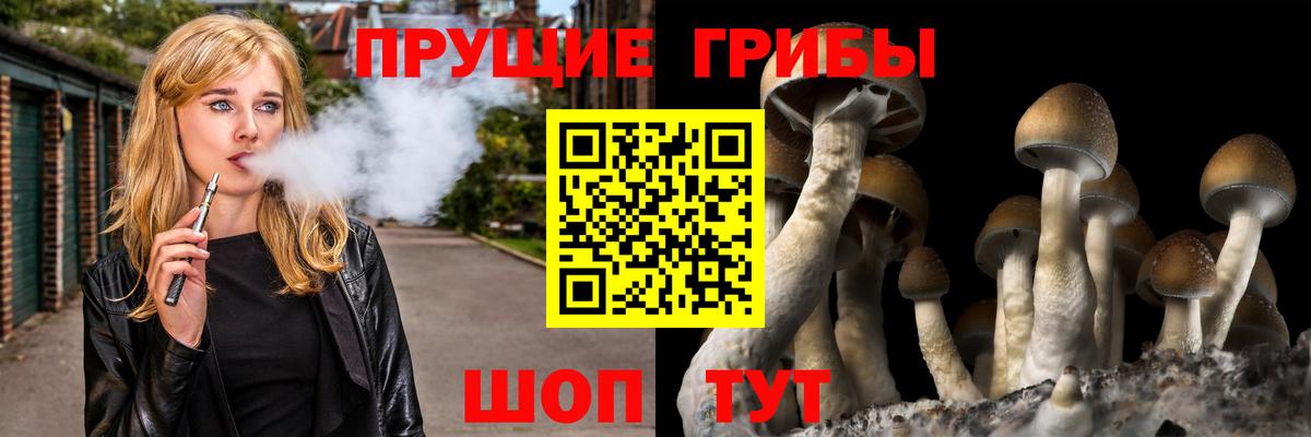 Псилоцибиновые грибы ЛСД  Вход с VPN  Междуреченск  Псилоцибиновые грибы Magic Shrooms 